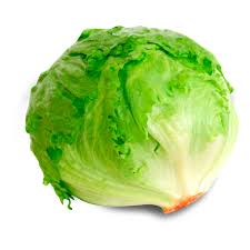 Lechuga Escarola